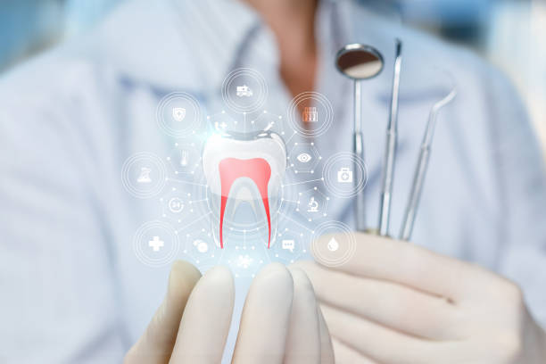 Best Preventive Dentistry  in Wenona, IL